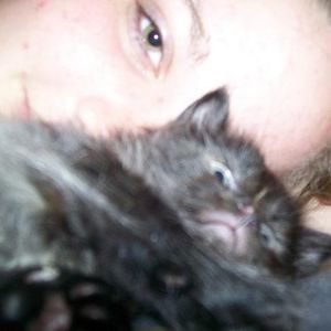 Meet your Posher, Ally